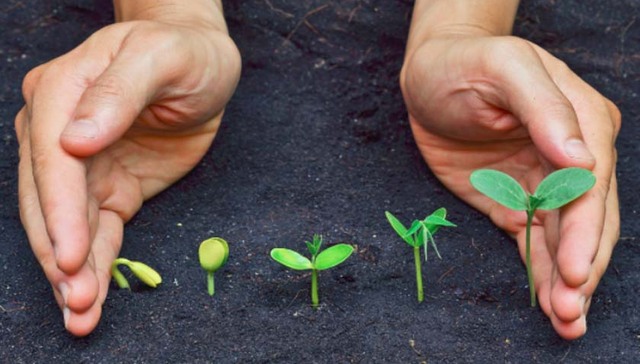 激活家访的育人效能