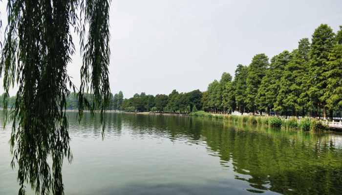 佛山碧道规划出台：5年千里成型，10年全面覆盖