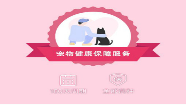 友安宠物：开放定点医院生态，加速宠物医疗消费升级