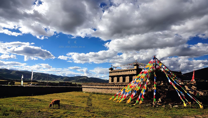 55个贫困村四年脱贫，泸州援建，让稻城净土开出“致富花”