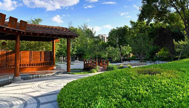 为美好而来—牛驼四通八达的交通