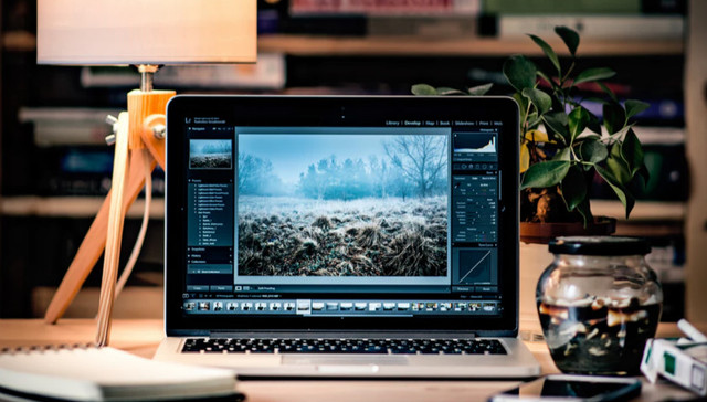 尾巴生活,昂程教育,Sanfer