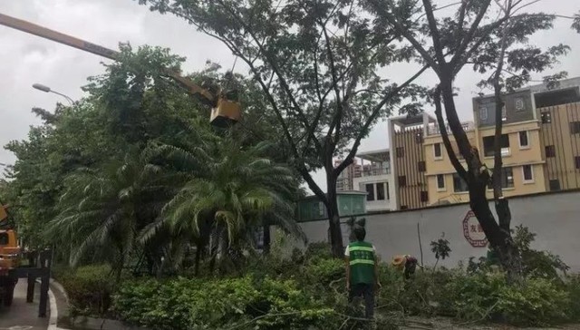 台风“杨柳”或8月29日下午登陆海南