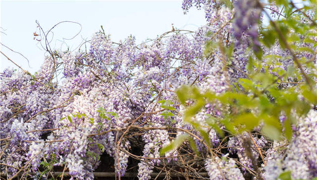 房地产经纪行业进入“竞合时代”