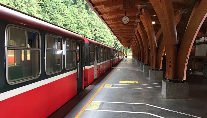 再创历史新高，暑运期间成都航空口岸逾135万人次出入境