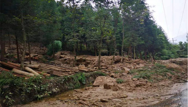 暴雨中笃笃前行的太平人寿雅安理赔人