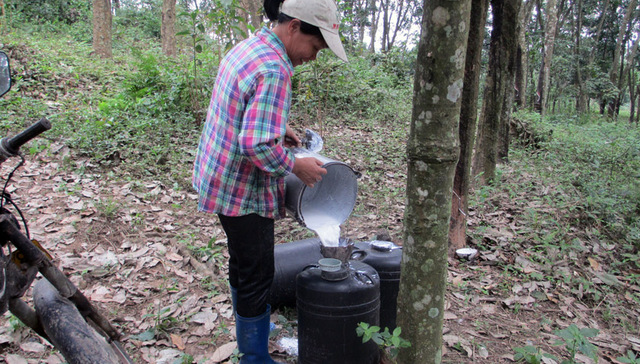 海南橡胶完成27.15亿股股权变更，实际控制人仍为海南国资委