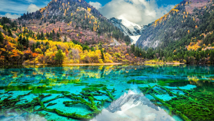 旅企纷纷加入九寨沟景区销售战局