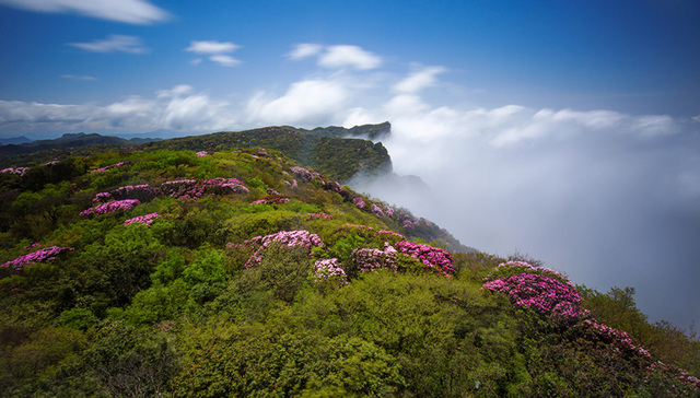 ​门票免费酒店打折，渝南黔北8区县派发“旅游大礼包”