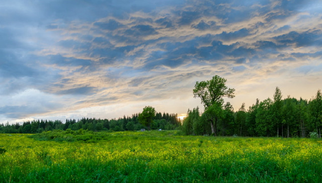 天津西青区提升服务，营造良好环境