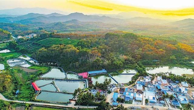 琼中：绿色家底释放生态红利