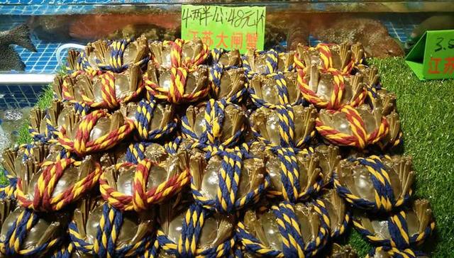 三亚：擦亮海鲜招牌，产业多元发展