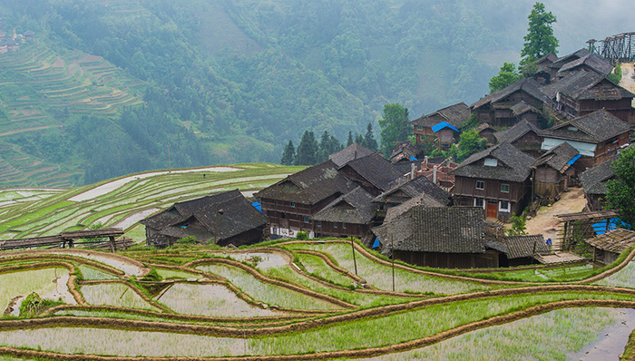 农村闲置宅基地和住宅盘活利用立规矩