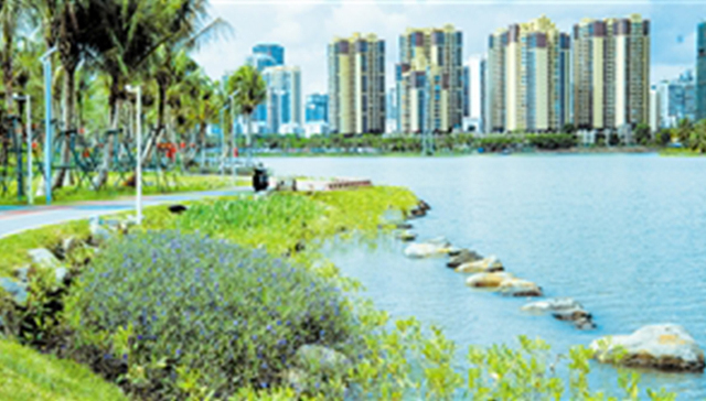 海口红城湖公园：跑道步道已投入使用，环湖路已修整完毕