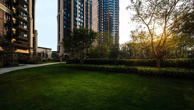 龙华再添名校，片区未来再次腾飞