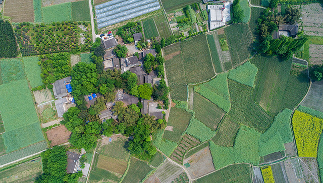 【文旅视野 】 川西林盘：未来四川旅游的又一IP