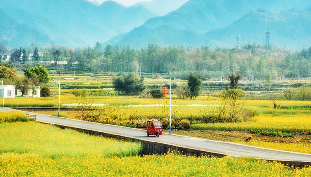 城阳区激活三种资源推进三类社区集体经济发展