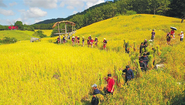 白沙“啦奥门”山兰文化节将于11月17日举行