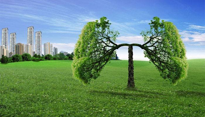 万科置业（海外）更名“万科海外投资”获股东会正式通过