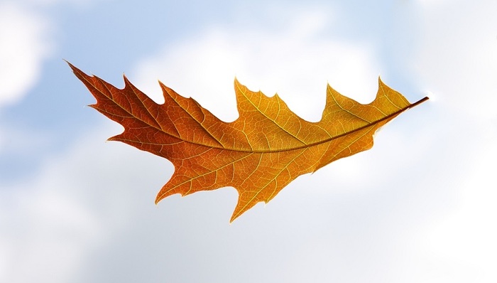 凉了？10月南京27家楼盘入市，仅2盘当天售罄