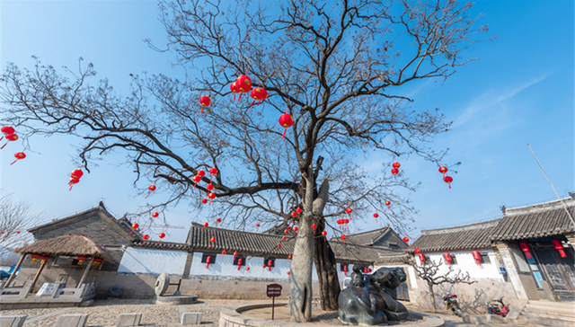 “仙境海岸 鲜美烟台”冬季游产品走红长三角