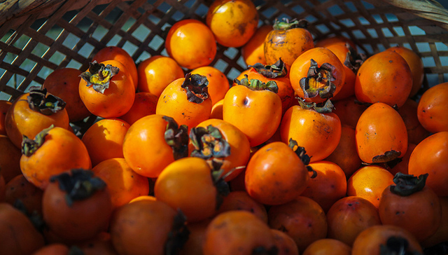 风物 | 牛头山的柿子红了