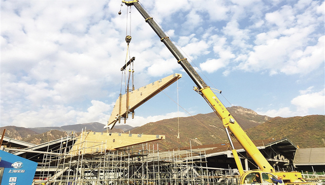 海南橡胶木登上冬奥会，用顶级工艺挑战“世界第一次”