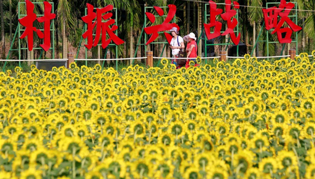 琼海：高质量建设带动旅游发展，城市国际化水平不断提高