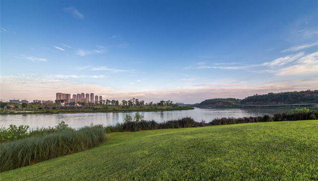 加码主城区，金地1.62万元/平米竞得成都青羊区8亩“袖珍地”