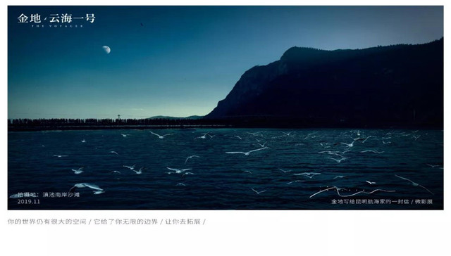 绝美！35年来 可能从未见过的海鸥和滇池