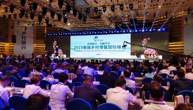 美丽海南百镇千村2025年将全面建成，多国专家聚焦农村金融