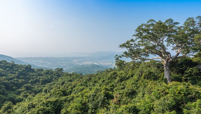 海南首个国家公园研究院成立