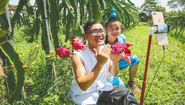 特产、水果、农副产品，直播带货风口下的海南新零售产业
