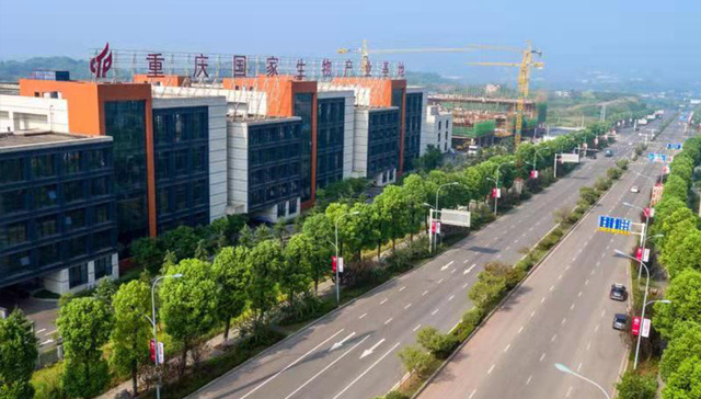 生物医药产业升级，重庆高新区如何抓住机遇？