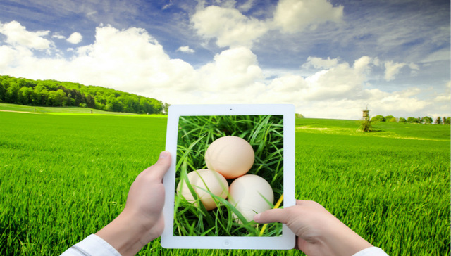 山东2019年农产品出口额再创历史新高，连续21年领跑全国