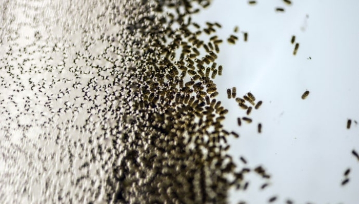 公共卫生,科普,新冠肺炎