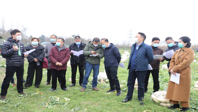 产销对接破难题 彭州让“菜园子”直通“菜篮子”