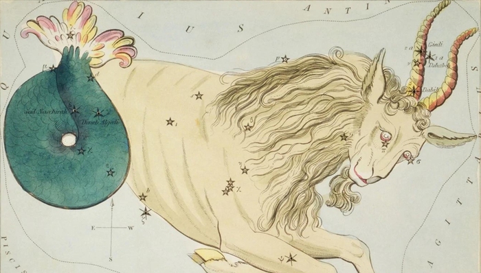 数学家,书评,占星术