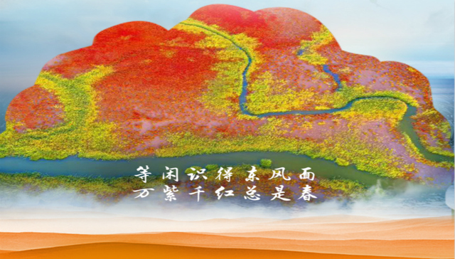 “疫”净花开，摘下口罩的那一天，我在东营等你