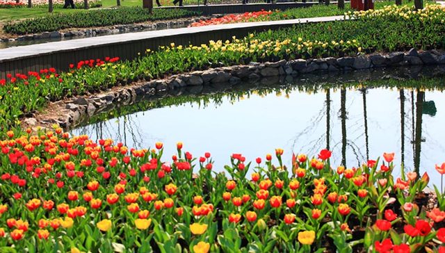 这八个景区承包了宁波人今年份的春日踏青！