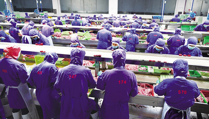 海南罗非鱼产业：政策补贴“放水养鱼”疫情之下逆流而上