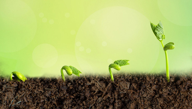 青岛检察官写歌战疫，我们相约春天里（原创歌曲MV）