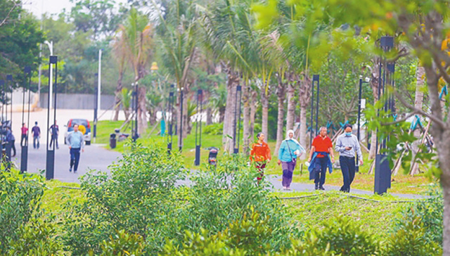 《健康海南行动实施方案》权威解读