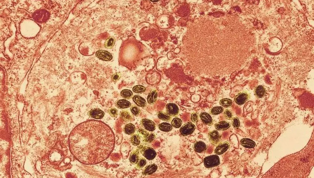 新型冠状病毒肺炎,疫情防控,野生动物,家畜,家禽,动物驯化