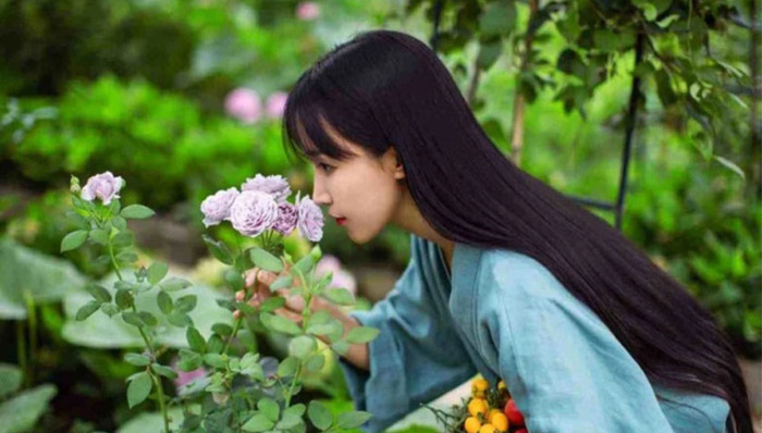 审美可以做成生意吗？李子柒给出了答案