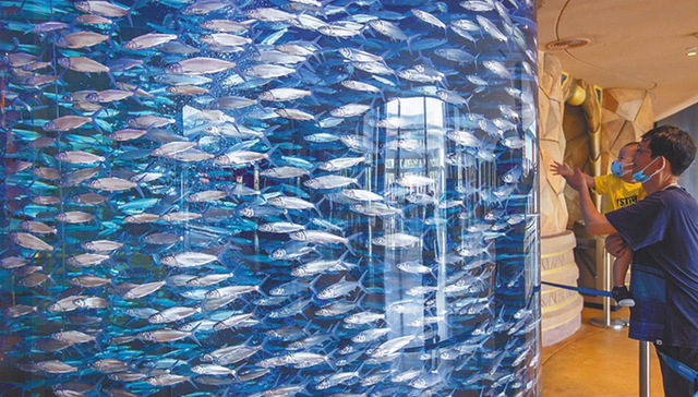 海南部分厅局负责人谈振兴旅游业三十条行动措施