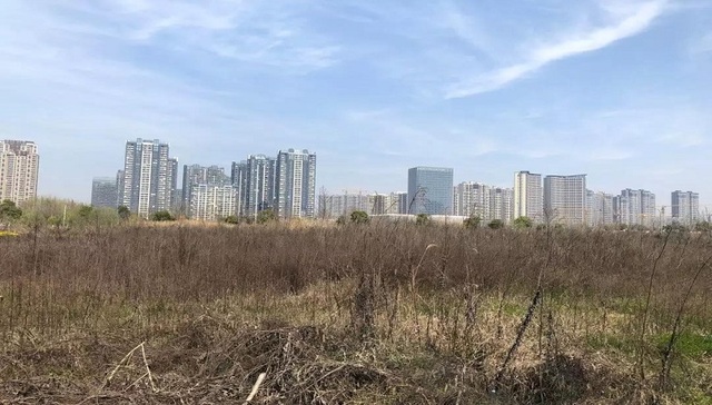 地块实探 | 河西宅地供应短缺将缓解，下周就出让