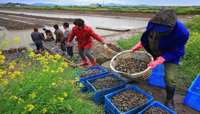 暖春三月，那些你不能错过的“鲜”和“嫩”