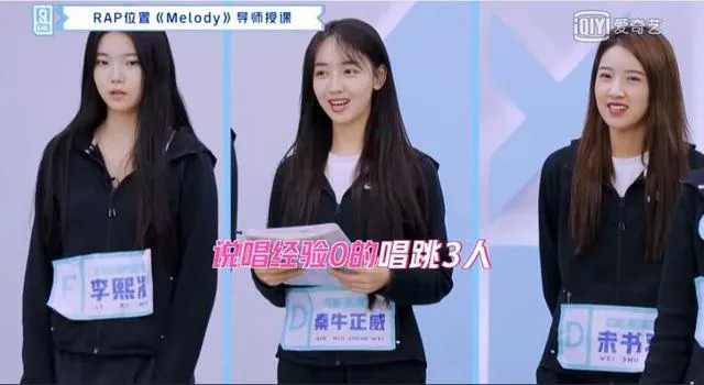 偶像工业,纯网综艺