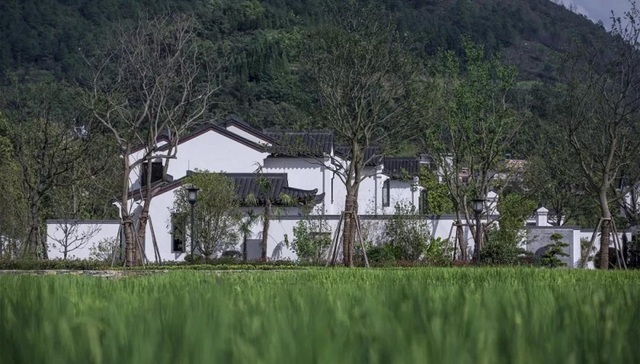 桃李人物志丨 从中原到贵州的小镇战略布局